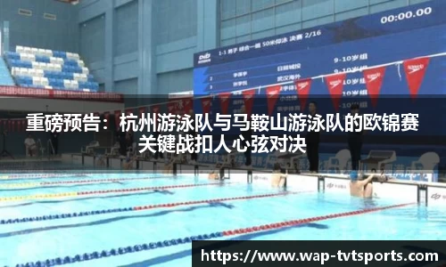 TVT体育官网