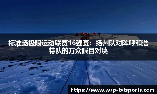 TVT体育平台